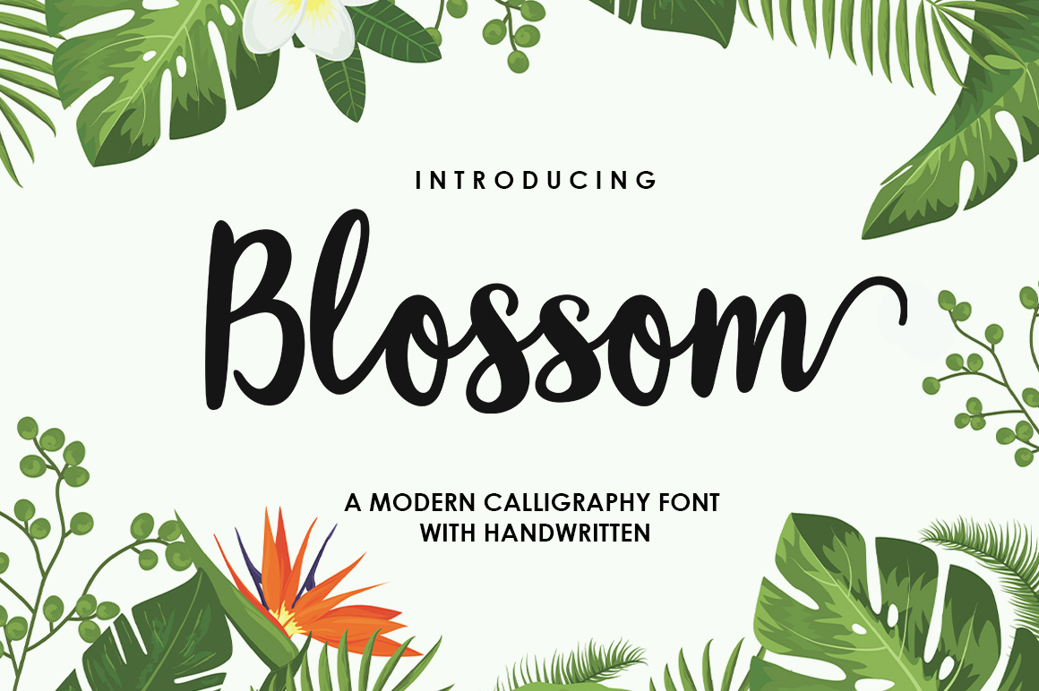 Elevate Your Brand with Blossom Script Font